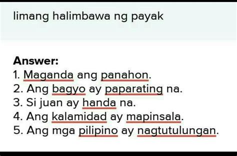 ano ang pangungusap|halimbawa ng payak na pangungusap.